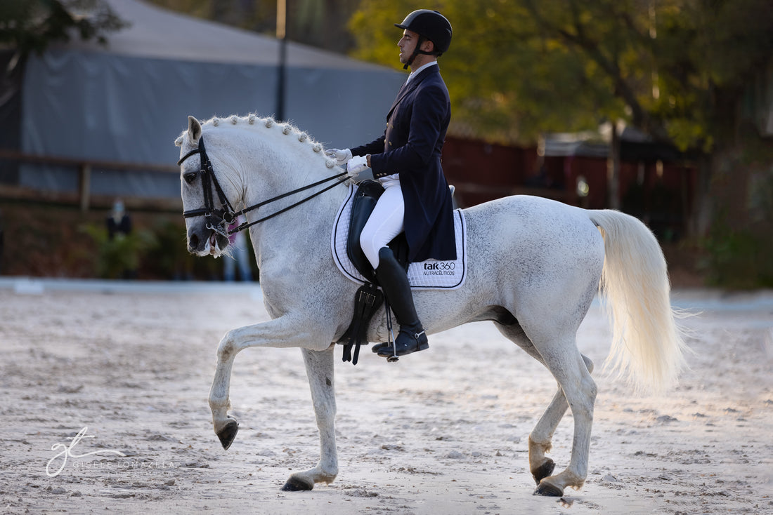 Esportes Equestres e suas Modalidades.